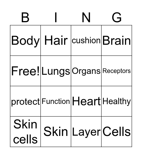 Skin: The Largest organ of the Body Bingo Card
