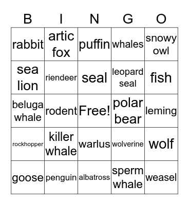 artic animals Bingo Card
