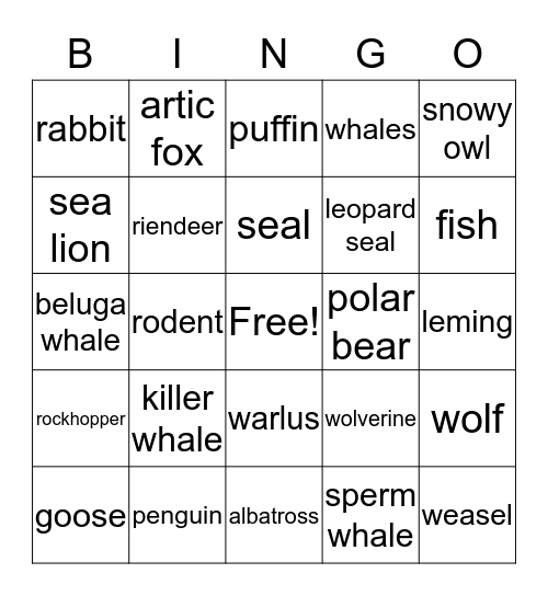 artic animals Bingo Card