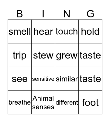 semmul Bingo Card