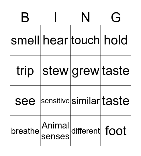 semmul Bingo Card