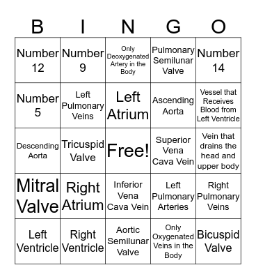 Heart Anatomy BINGO Card