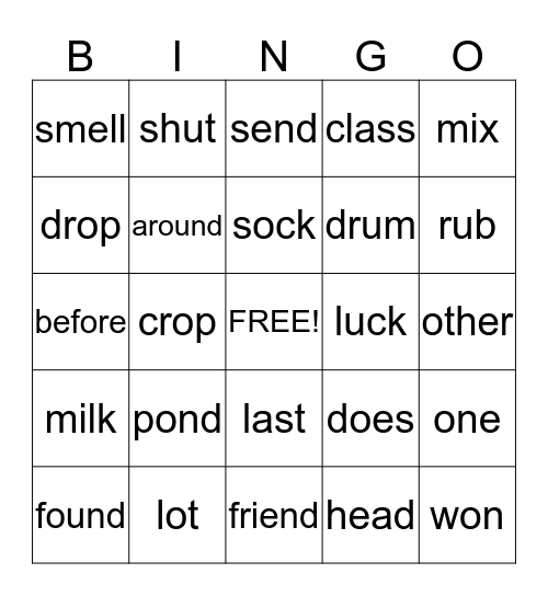 Vocabulary Words Bingo Card