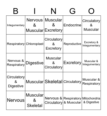 Body Systems and Cells' Organelles Bingo Card