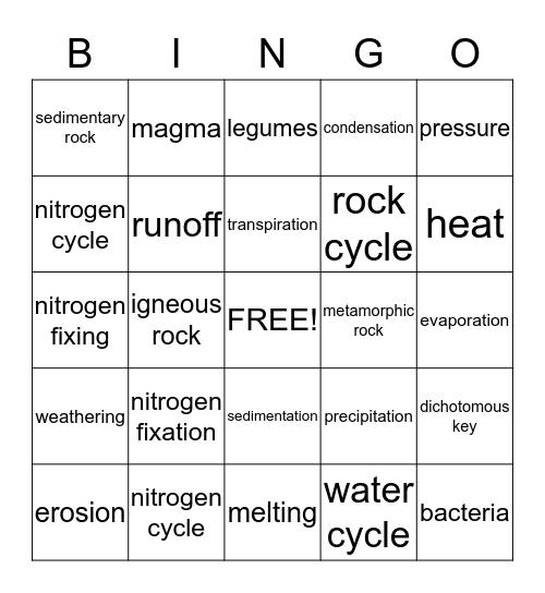 Abiotic Cycles Bingo Card