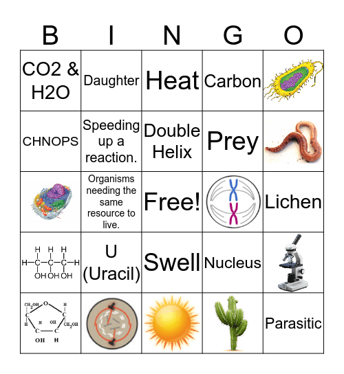 Biology Semester 1 Review Bingo Card