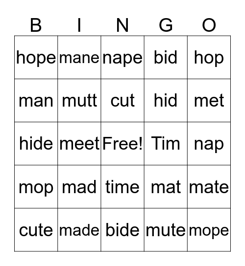 Bossy E or Short Vowels Bingo Card