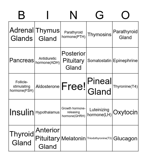 The Endocrine System Bingo Card