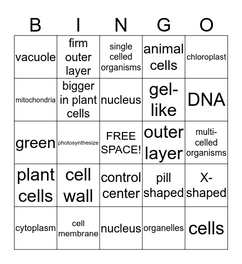 Cells Bingo Card