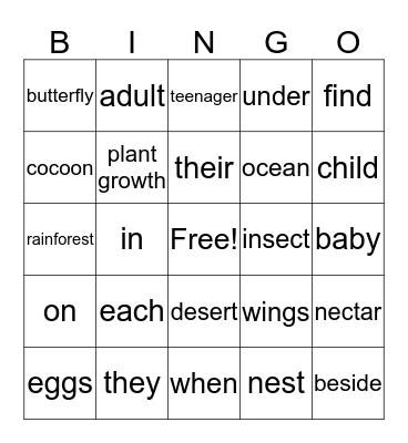 Review words and prepositions Bingo Card