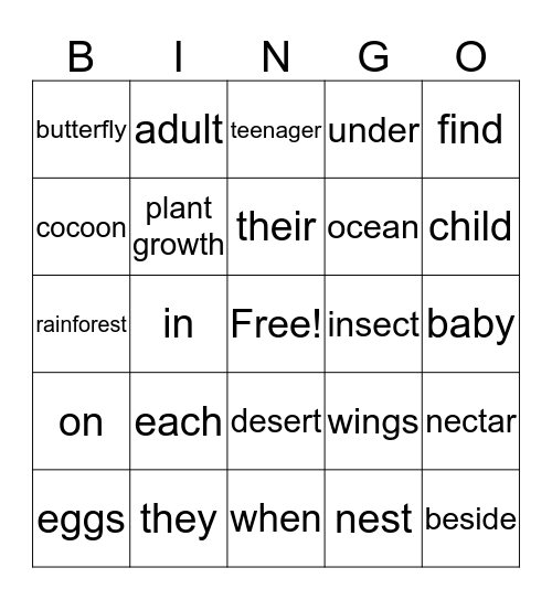 Review words and prepositions Bingo Card