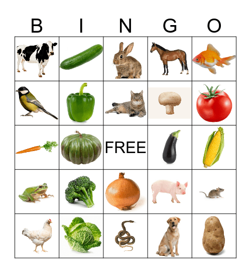 Animals and Vegetables Bingo Card