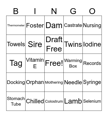 Lambing Bingo Card