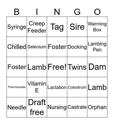 Lambing Bingo Card