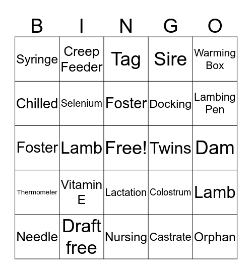 Lambing Bingo Card