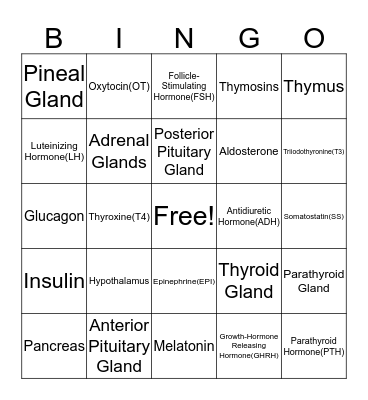 Endocrine System Bingo Card