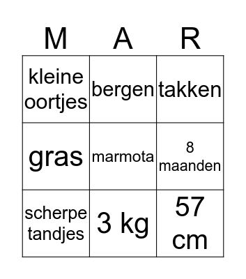 Winterslaap marmot Bingo Card