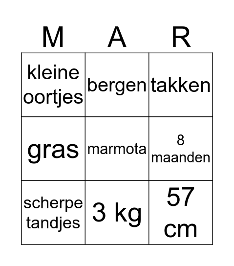 Winterslaap marmot Bingo Card