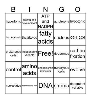 Finals Bingo Card