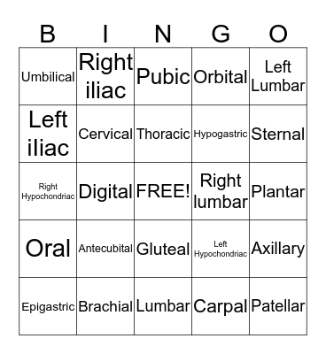Body Regions Bingo Card