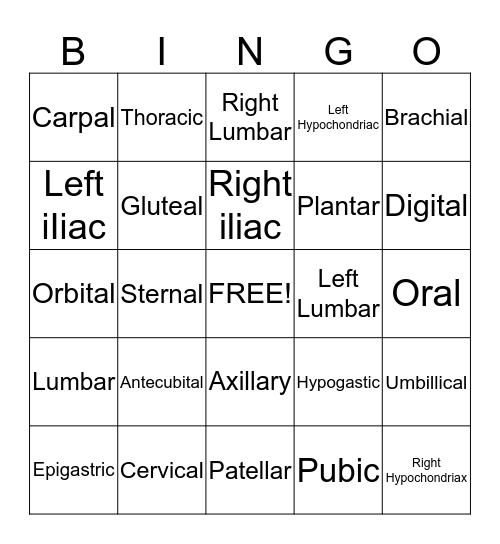 Body Regions Bingo Card