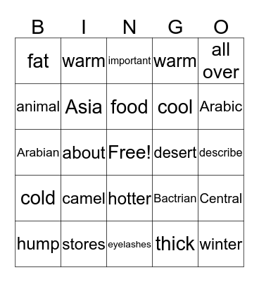 THE CAMEL Bingo Card