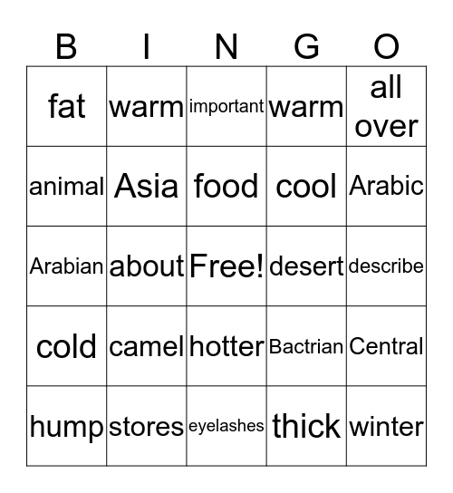 THE CAMEL Bingo Card