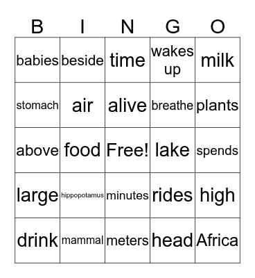 THE HIPPOPOTAMUS Bingo Card