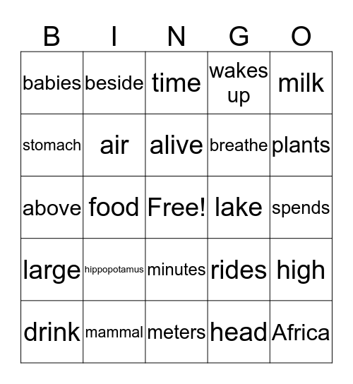 THE HIPPOPOTAMUS Bingo Card