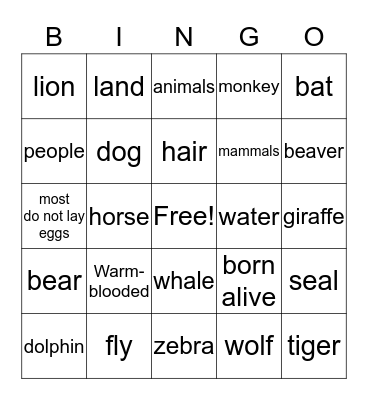 Mammals Bingo Card