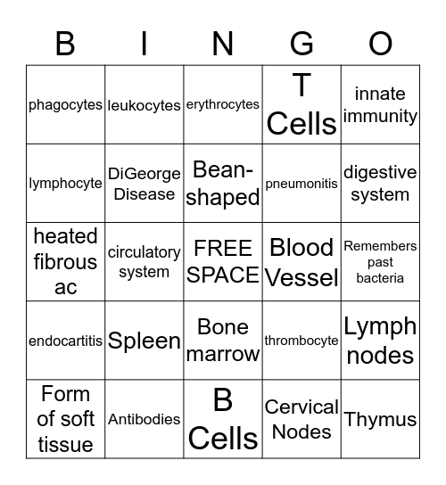 Do You Know Your Immune System?  Bingo Card