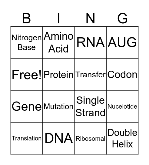 Transcription/Translation Bingo Card