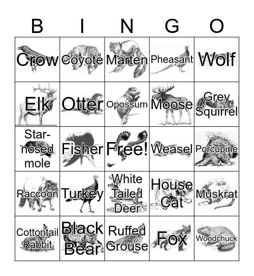 Wisconsin Fauna  Bingo Card