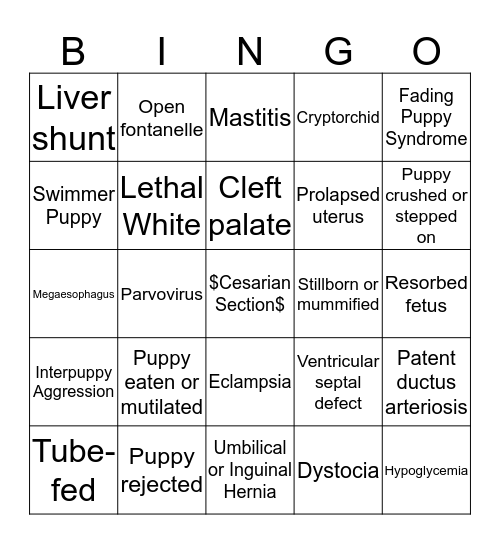 Dog Breeder BINGO: What will go wrong with bitch or litter THIS TIME? Bingo Card