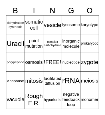 Honors Biology Finals Review Key Terms BINGO Card