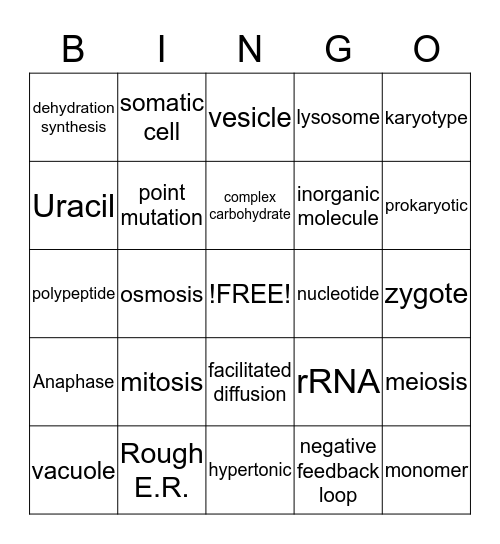 Honors Biology Finals Review Key Terms BINGO Card