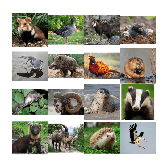 German Animal Bingo Card