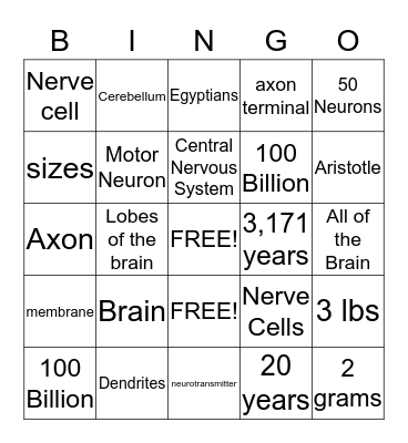 Neurons Bingo Card