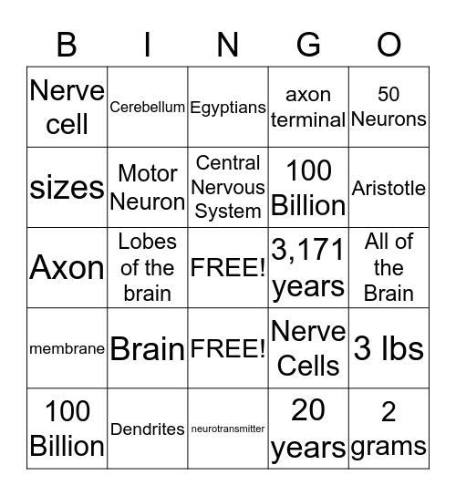 Neurons Bingo Card