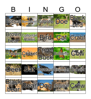 Animal Bingo Card