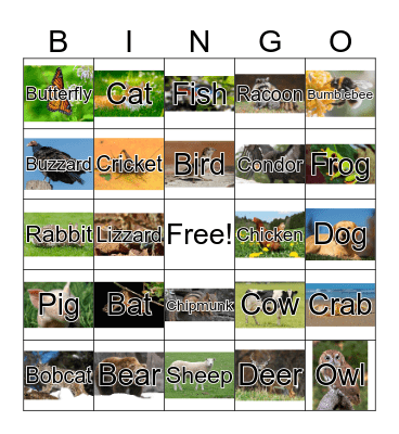 Animal Bingo Card