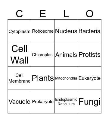 Cell Types / Organelles Bingo Card