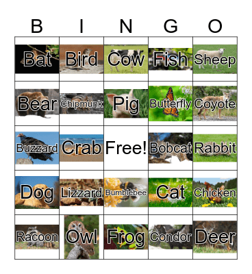 Animal Bingo Card