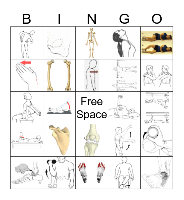 Sports Medicine Bingo Card
