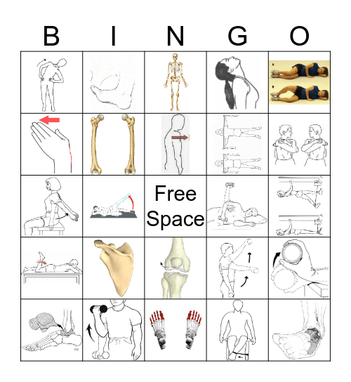 Sports Medicine Bingo Card