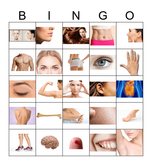 Body Parts Bingo 1 Bingo Card