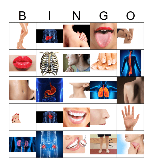 Body Parts Bingo 2 Bingo Card