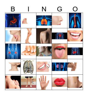 Body Parts Bingo 2 Bingo Card