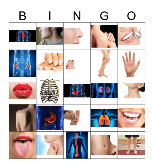 Body Parts Bingo Game Printable