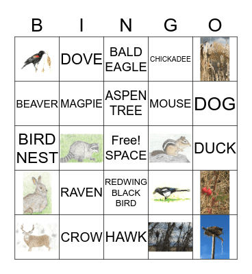 NATURE BINGO Card